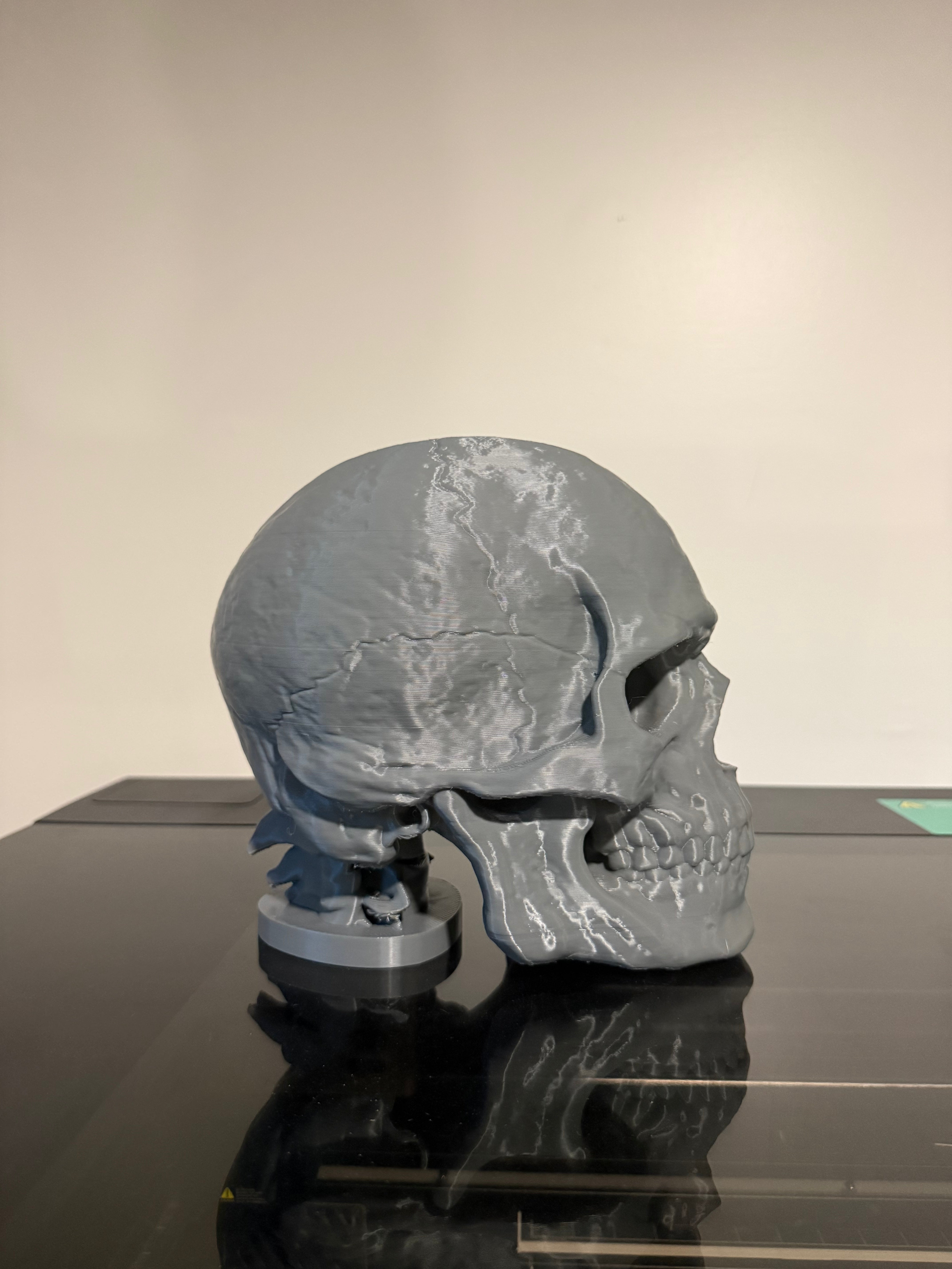 Desk Skull Hat Stand