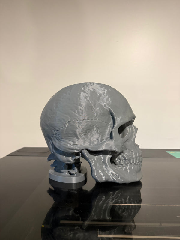 Desk Skull Hat Stand