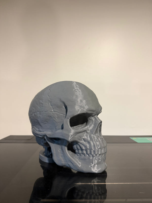 Desk Skull Hat Stand
