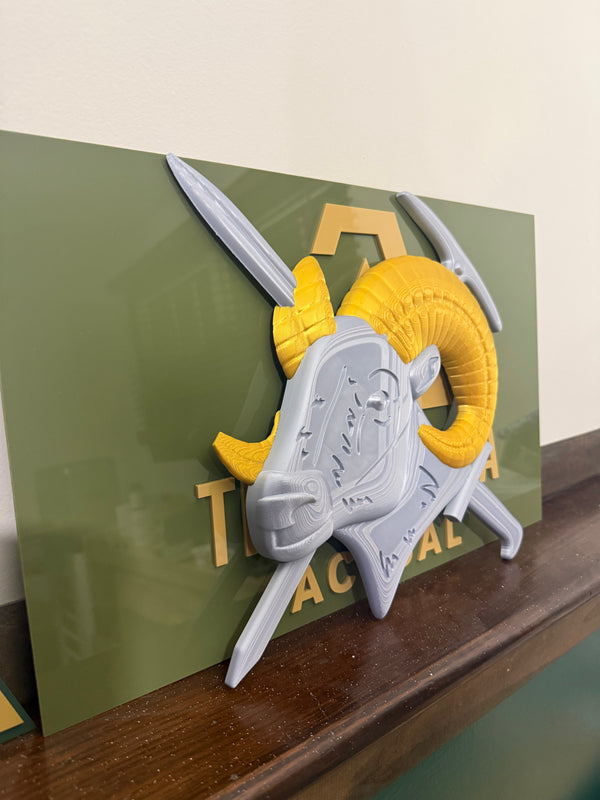 Basic Military Mountaineering Badge
